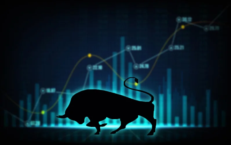 my-home-navigators-home-construction-companies-shares-outperforms